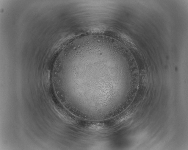 X0000067490550200604071207