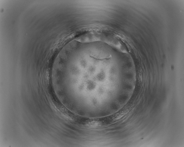 X0000067490551200604071207