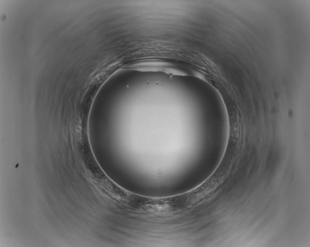 X0000067490552200604071207