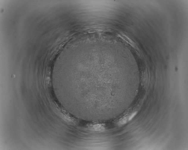 X0000067490553200604071207