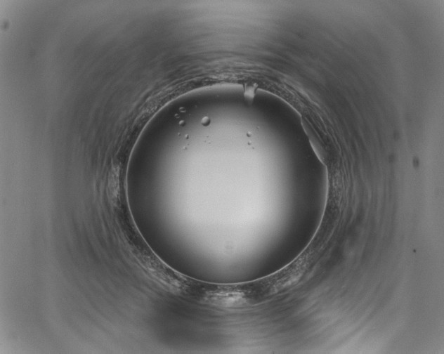 X0000067490554200604071207