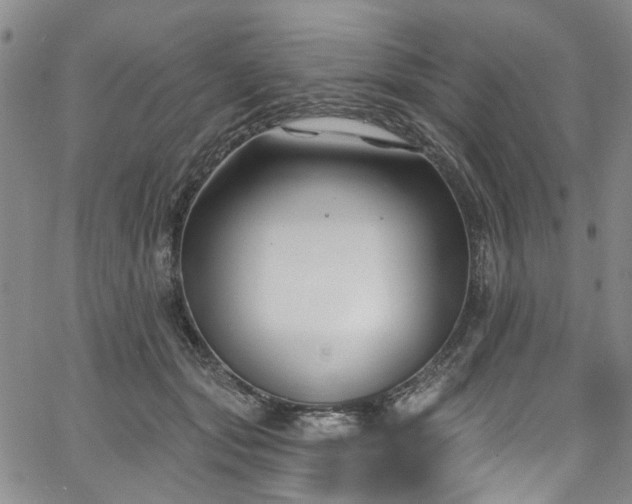 X0000067490557200604071207