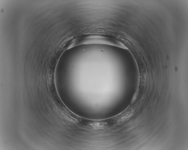 X0000067490558200604071207