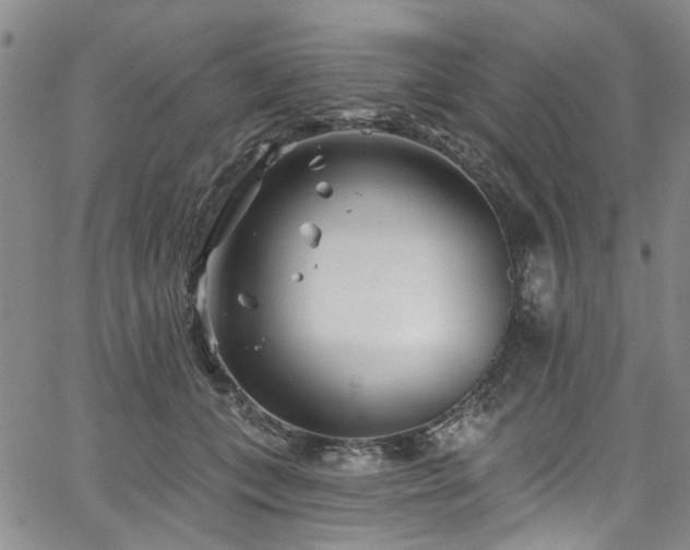 X0000067490559200604071207