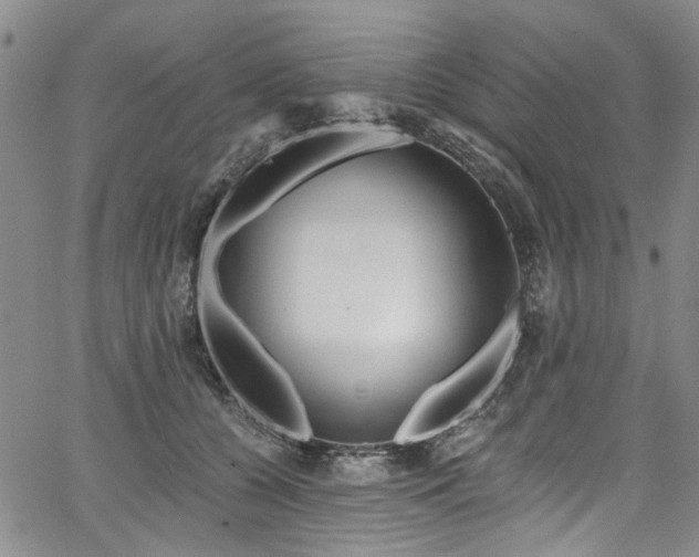 X0000067490560200604071207