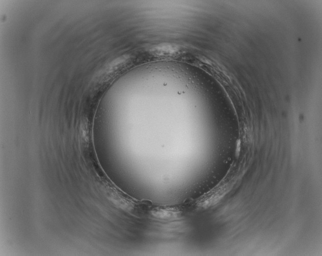 X0000067490561200604071207