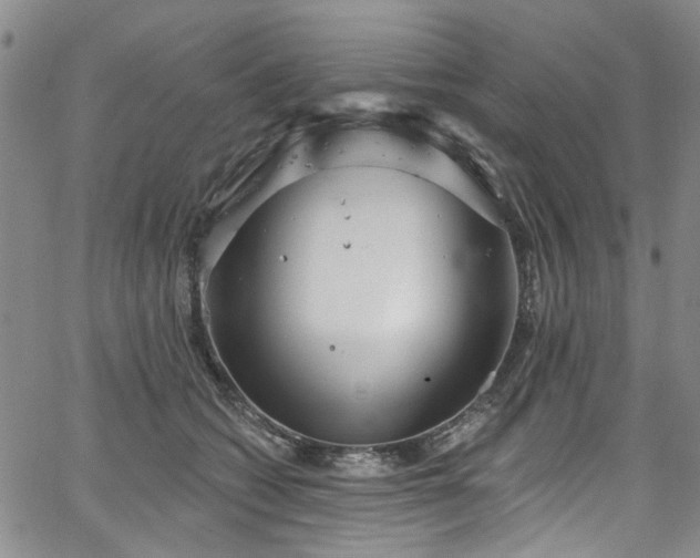 X0000067490562200604071207