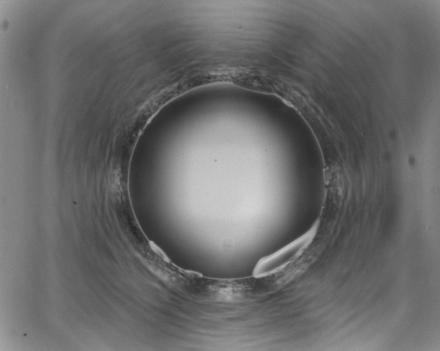 X0000067490564200604071207