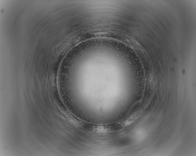 X0000067490565200604071207