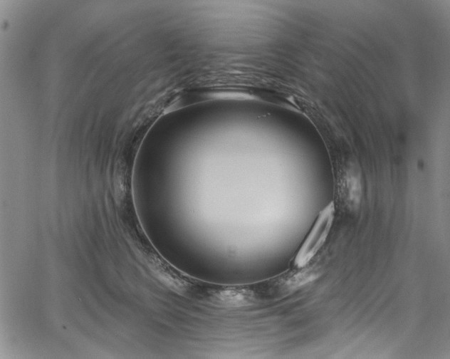 X0000067490566200604071207