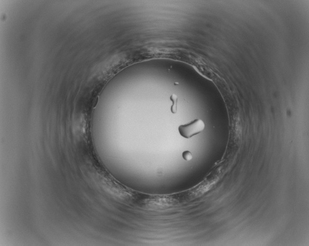 X0000067490567200604071207