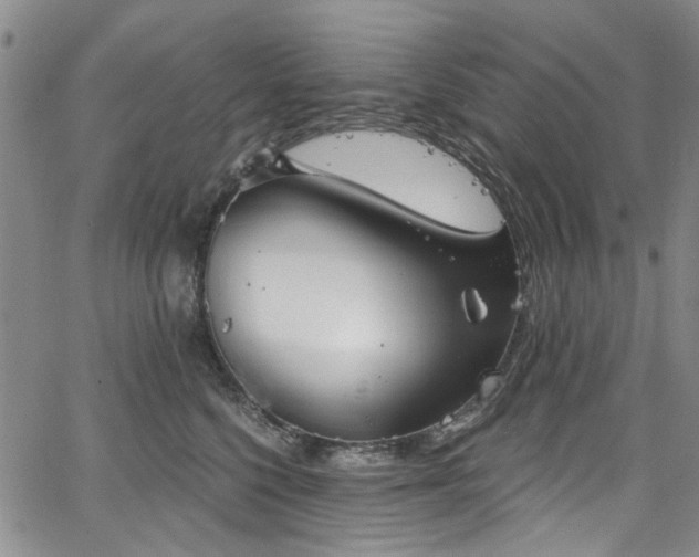 X0000067490568200604071207