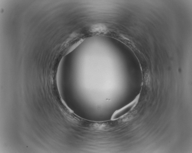 X0000067490570200604071207