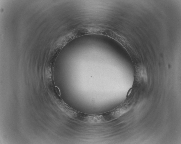 X0000067490571200604071207