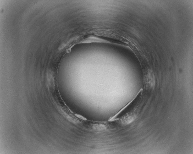 X0000067490572200604071207