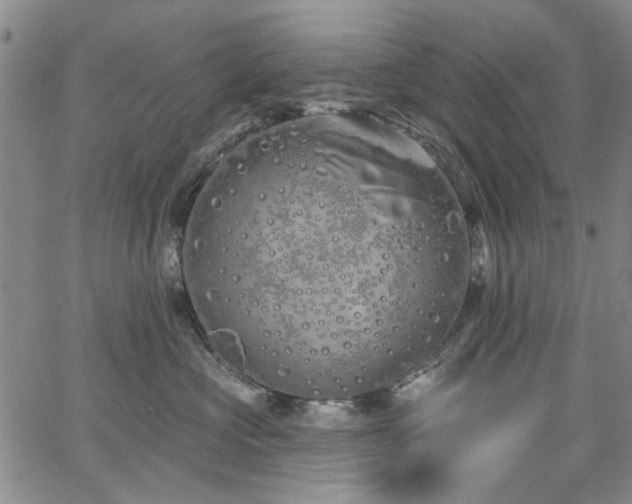 X0000067490573200604071207