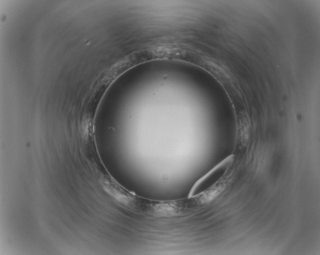 X0000067490574200604071207