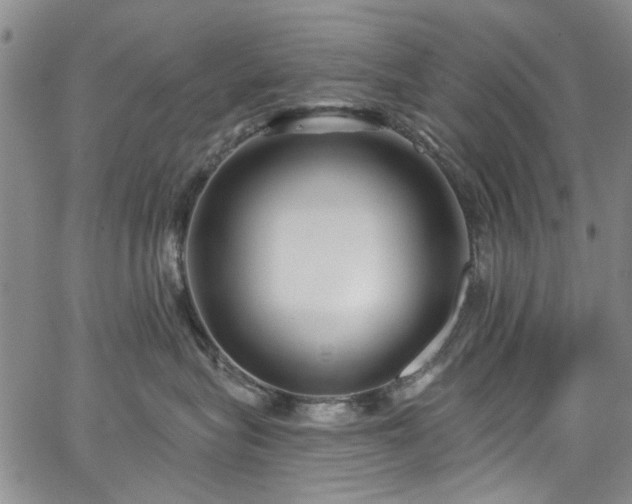 X0000067490575200604071207