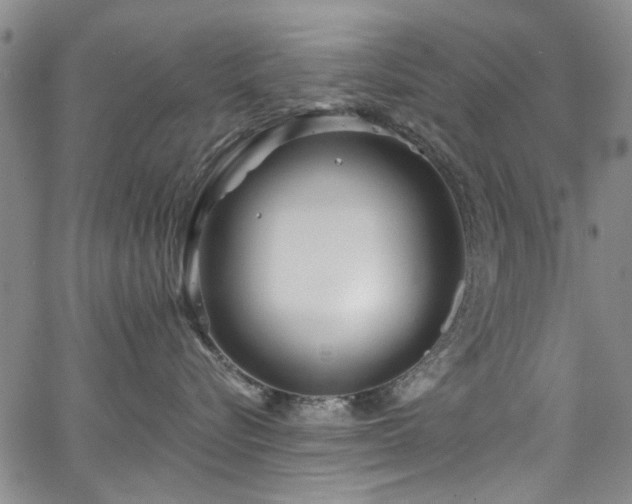 X0000067490576200604071207