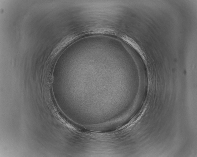 X0000067490577200604071206