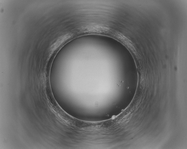 X0000067490578200604071206