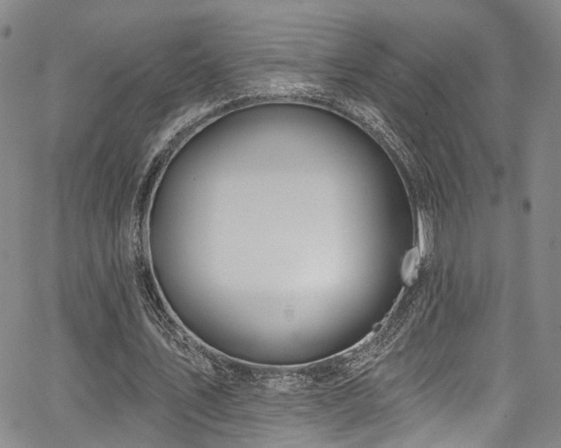 X0000067490579200604071206