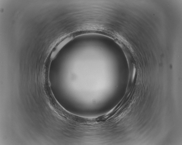 X0000067490580200604071206