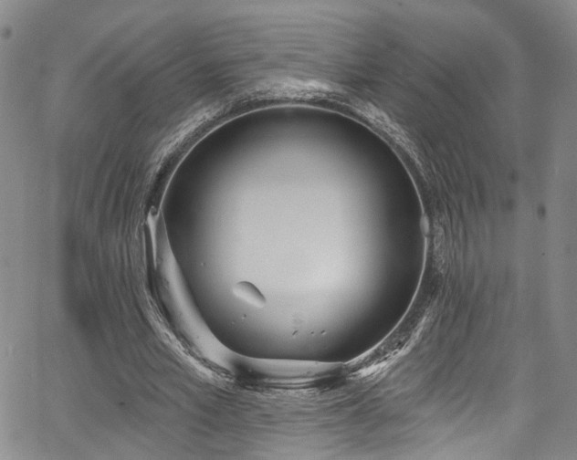 X0000067490581200604071206