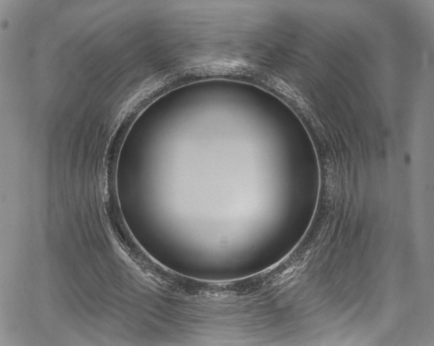 X0000067490582200604071206