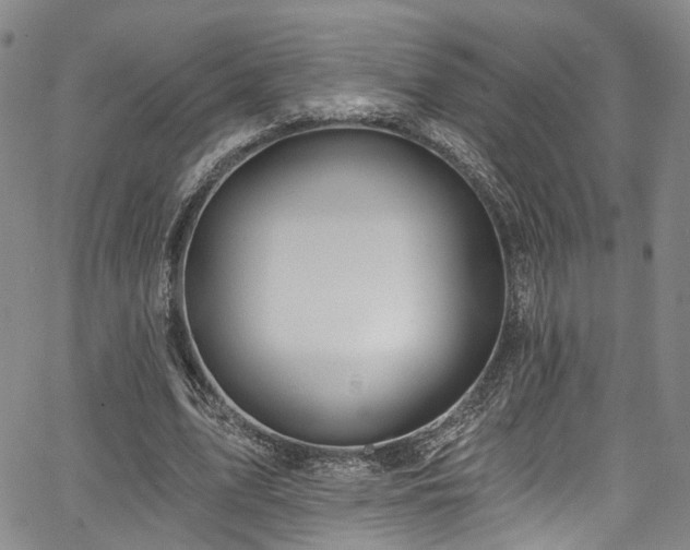 X0000067490583200604071206