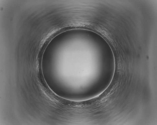 X0000067490584200604071206