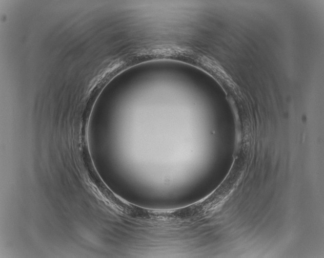 X0000067490585200604071206