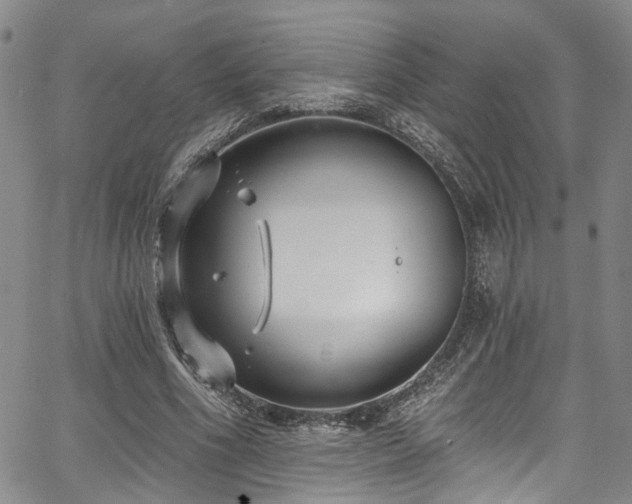 X0000067490586200604071206