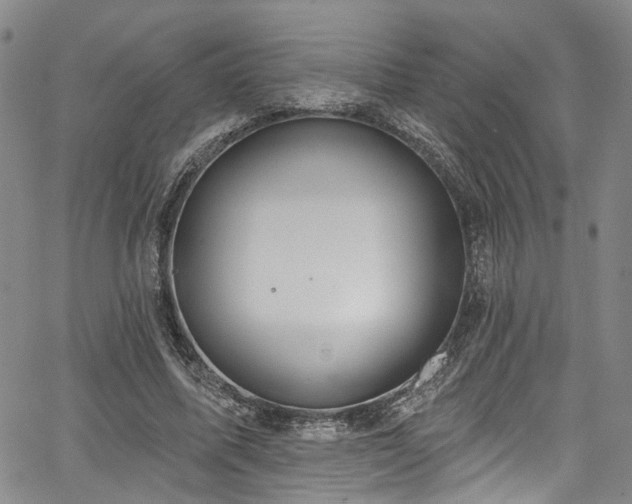 X0000067490587200604071206