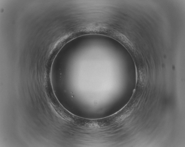 X0000067490588200604071206