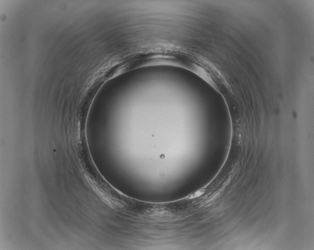 X0000067490589200604071206