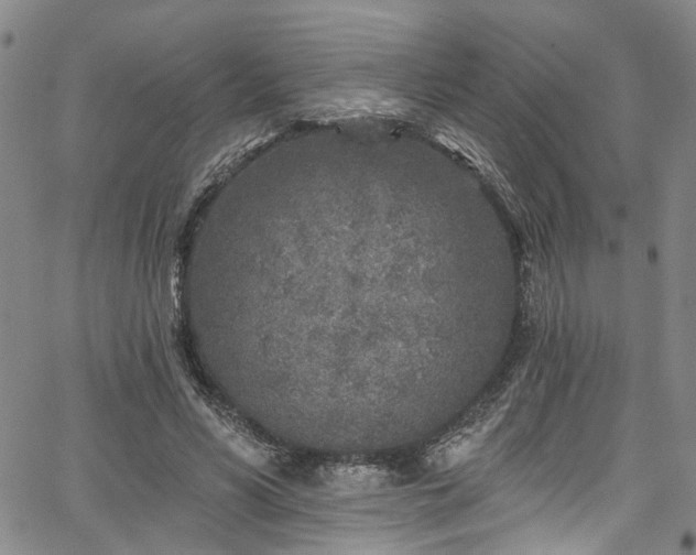 X0000067490590200604071206