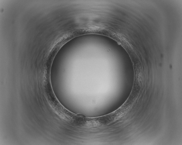 X0000067490591200604071206