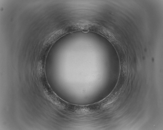 X0000067490594200604071206