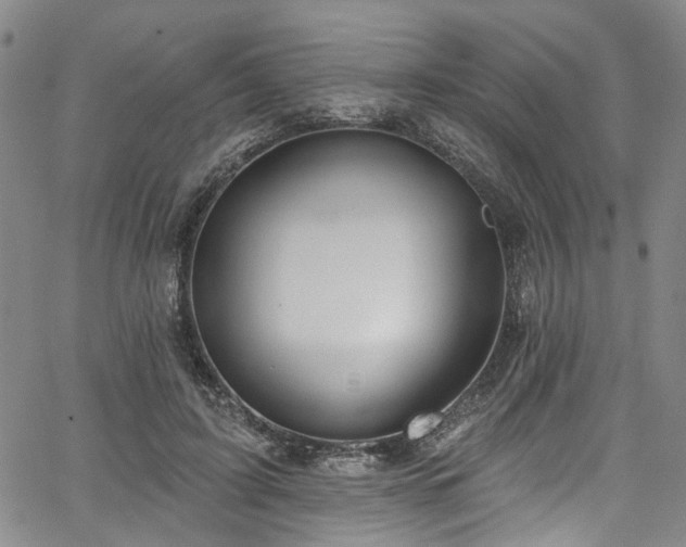 X0000067490595200604071206