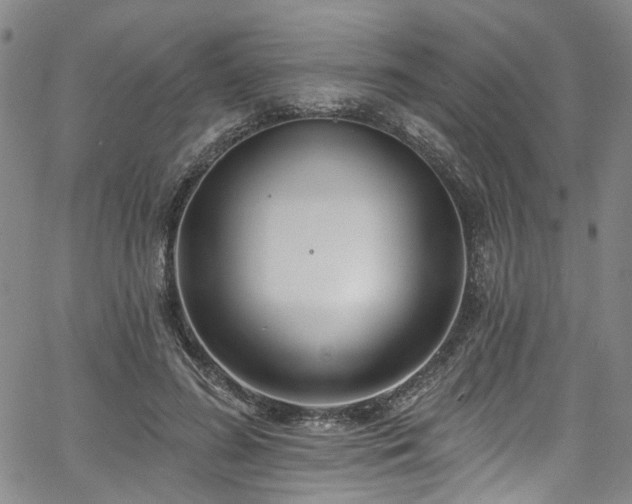 X0000067490596200604071206