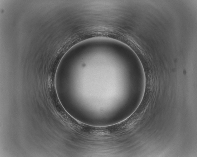 X0000067490597200604071206