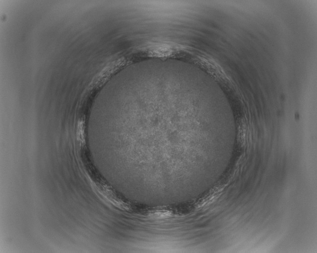 X0000067490598200604071206