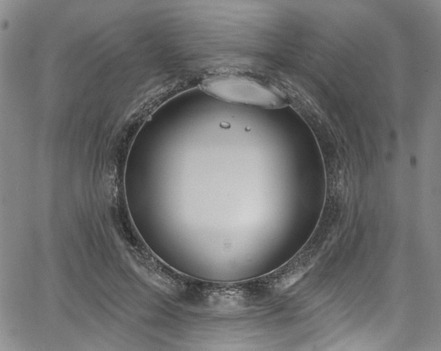 X0000067490599200604071206