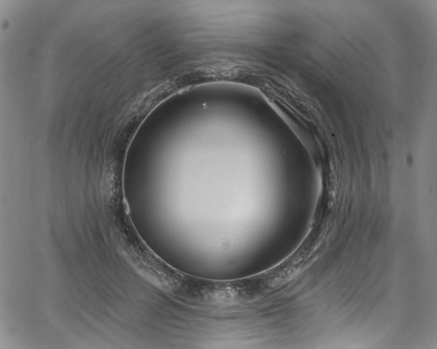 X0000067490600200604071206