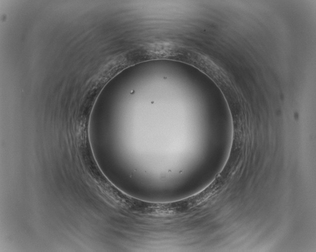 X0000067490601200604071206