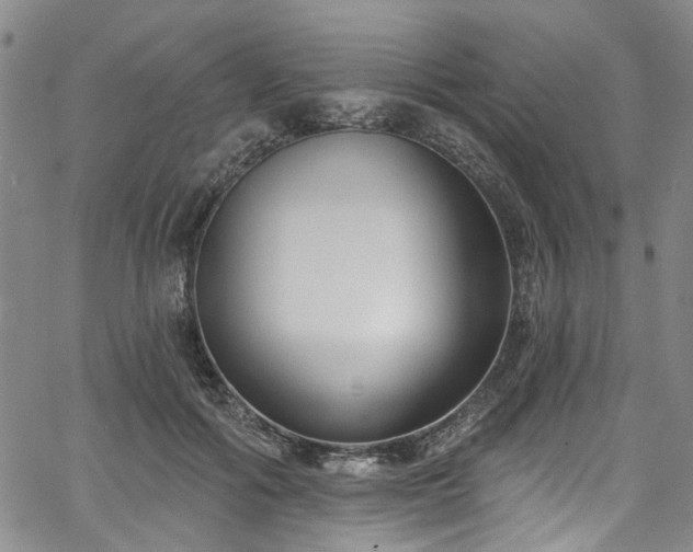 X0000067490602200604071206