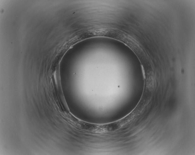 X0000067490604200604071206