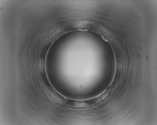 X0000067490605200604071206