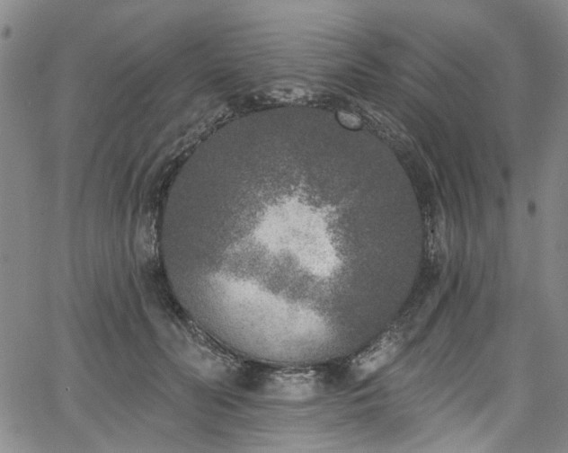 X0000067490606200604071206